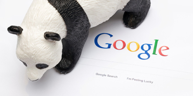 Panda Google Panda Google