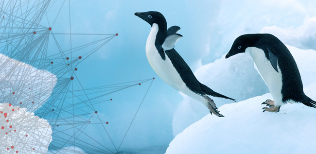 penguin-leap2 Penguin 2.0 update