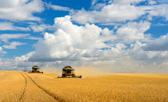 harvest